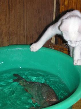 Прикрепленное изображение: 3.JPG